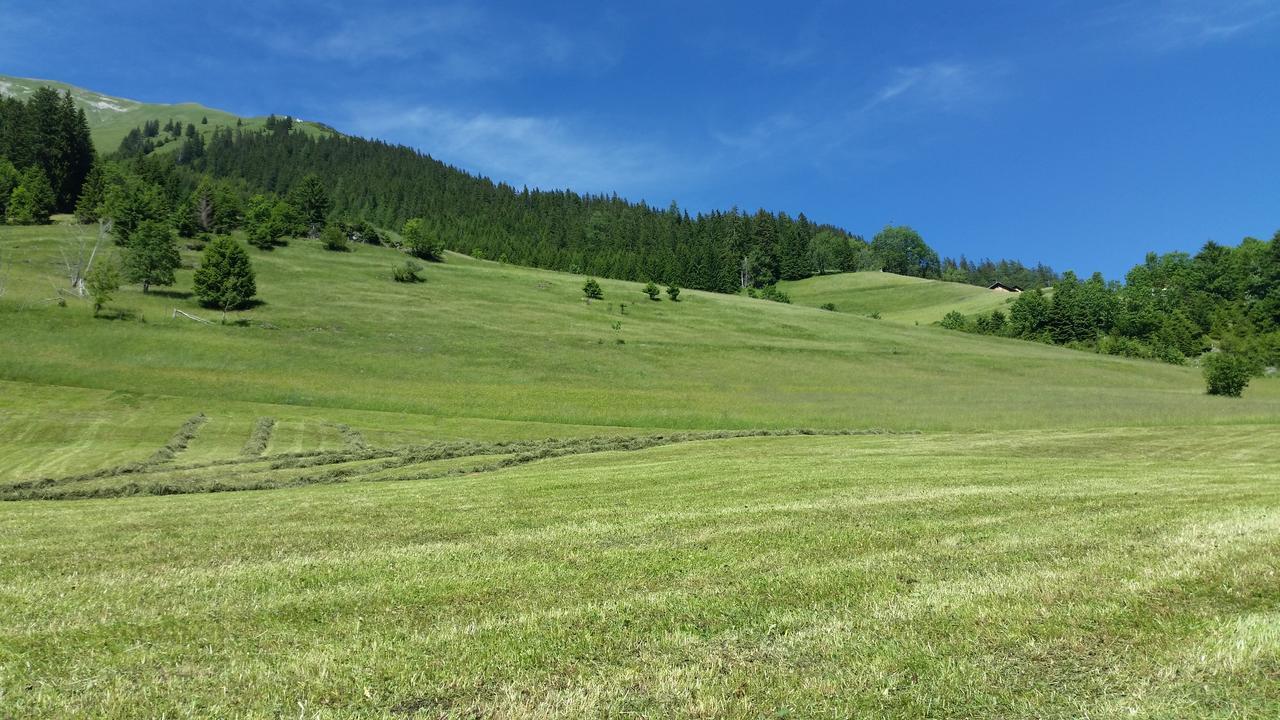 Auszeit Chalets Bschlabs 外观 照片