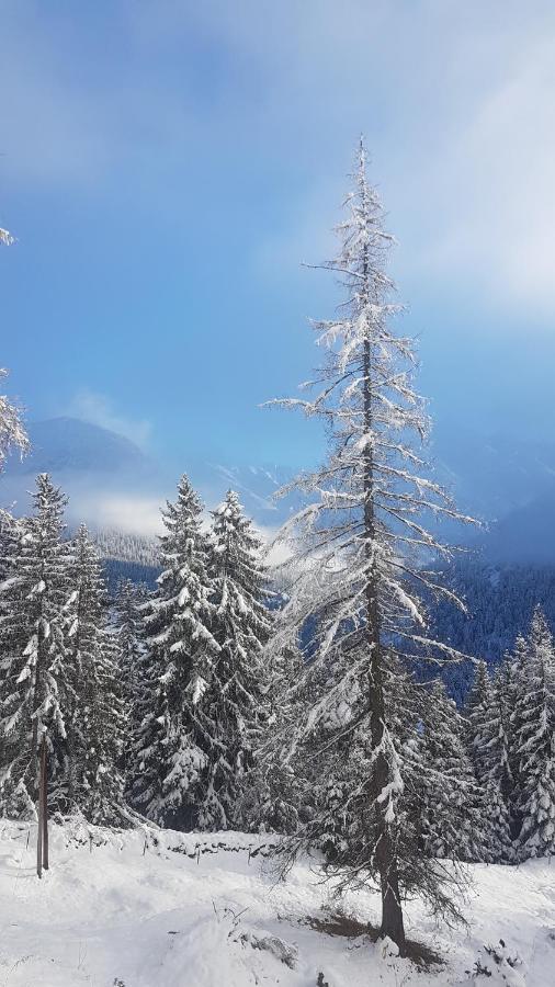 Auszeit Chalets Bschlabs 外观 照片